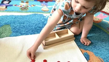 Amber Meadows Montessori - Overland Park