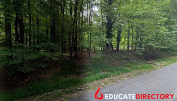 Bambi Childcare - Potomac