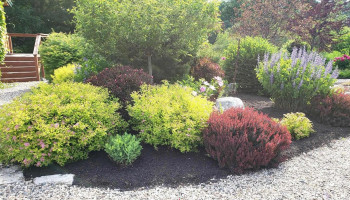 Bearcamp Garden Llc - West Ossipee