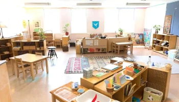 Crossway Montessori Forest School - Kensington