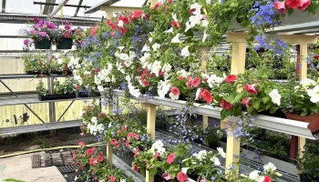 Flower Pot Garden Center - Fairbanks