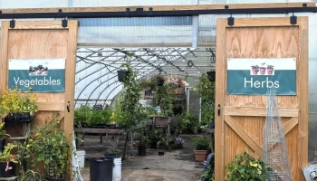 Mason Brook Nursery - Mason