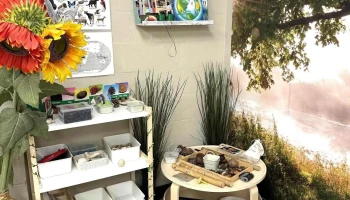 Neverland Learning Center - Towson