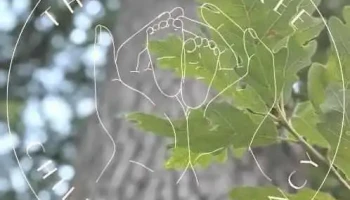 Oak Tree Childcare Agency - United States