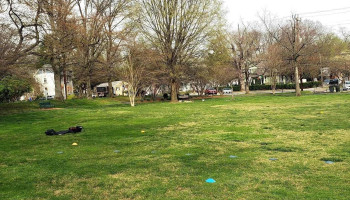 Spring Bilingual Montessori Academy - Kensington