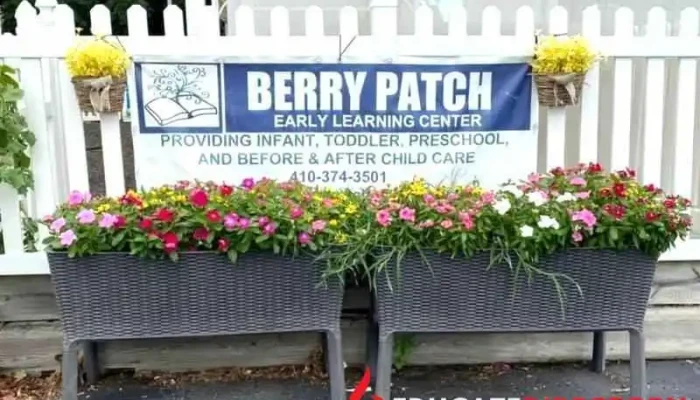 Berry Patch Early Learning Center - Hampstead