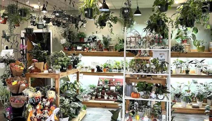 Black Forest Nursery - Boscawen