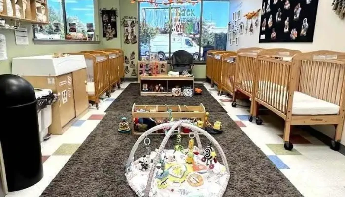 Celebree School of Bear - Bear