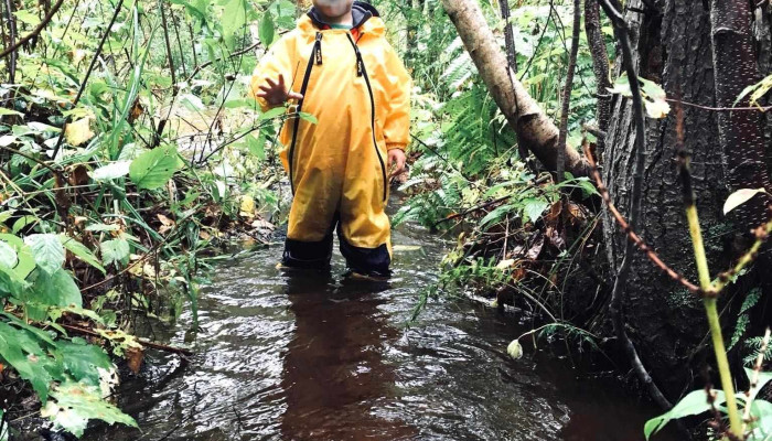 Chesterbrook School of Natural Learning - Chester