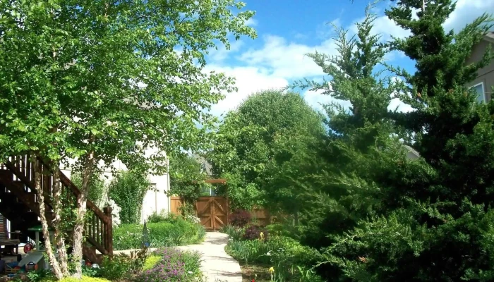 Child's Play Preschool and Daycare Center - Shawnee