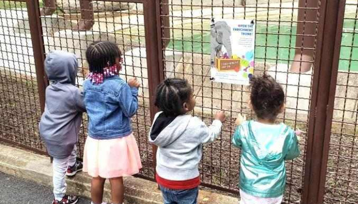 Christian Childcare Services Llc - United States