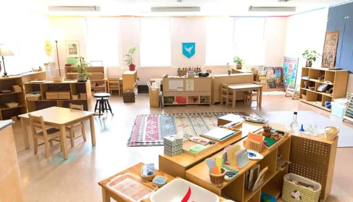 Crossway Montessori Forest School - Kensington