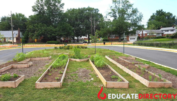 Edward M. Felegy Elementary - Hyattsville