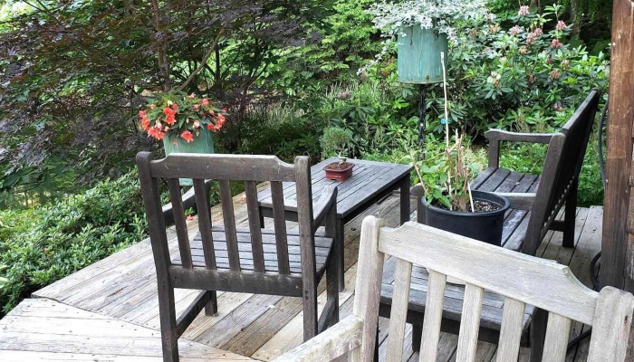 Emma's Perennials - Hill
