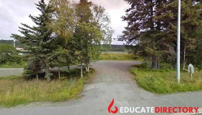 Fireweed Academy - Homer