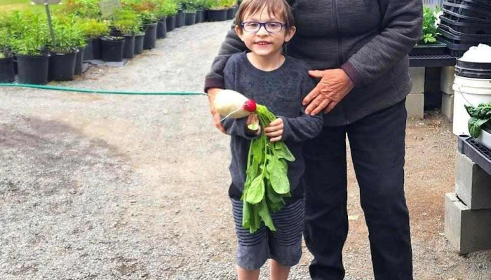 Jackson Gardens Alaska - Soldotna