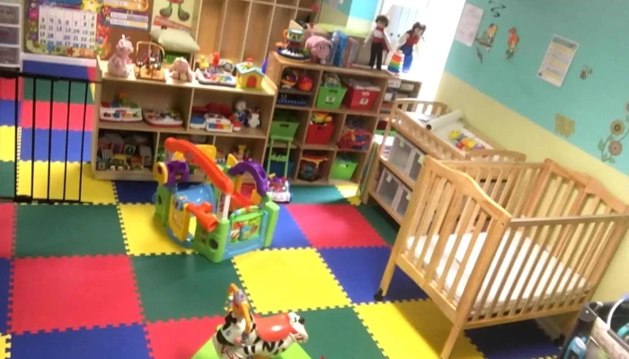 Little bees bilingual child care - Silver Spring