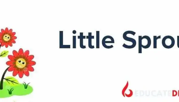 Little Sprouts Daycare - Crownsville