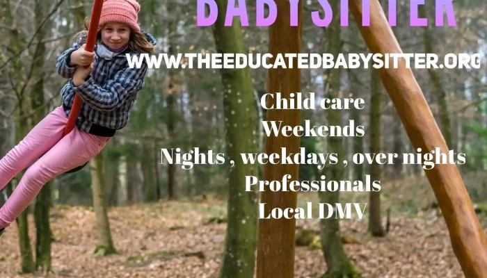 The Educated Babysitter Llc - United States